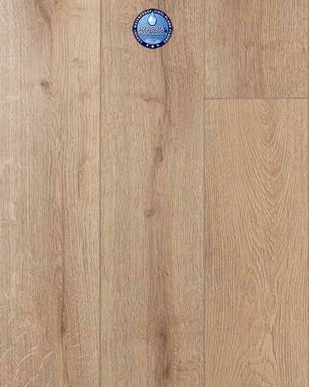Concord Oak