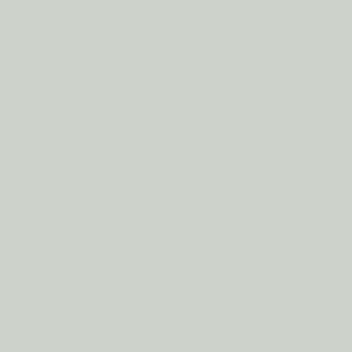 Paint color sample swatch sea salt by sherwin williams