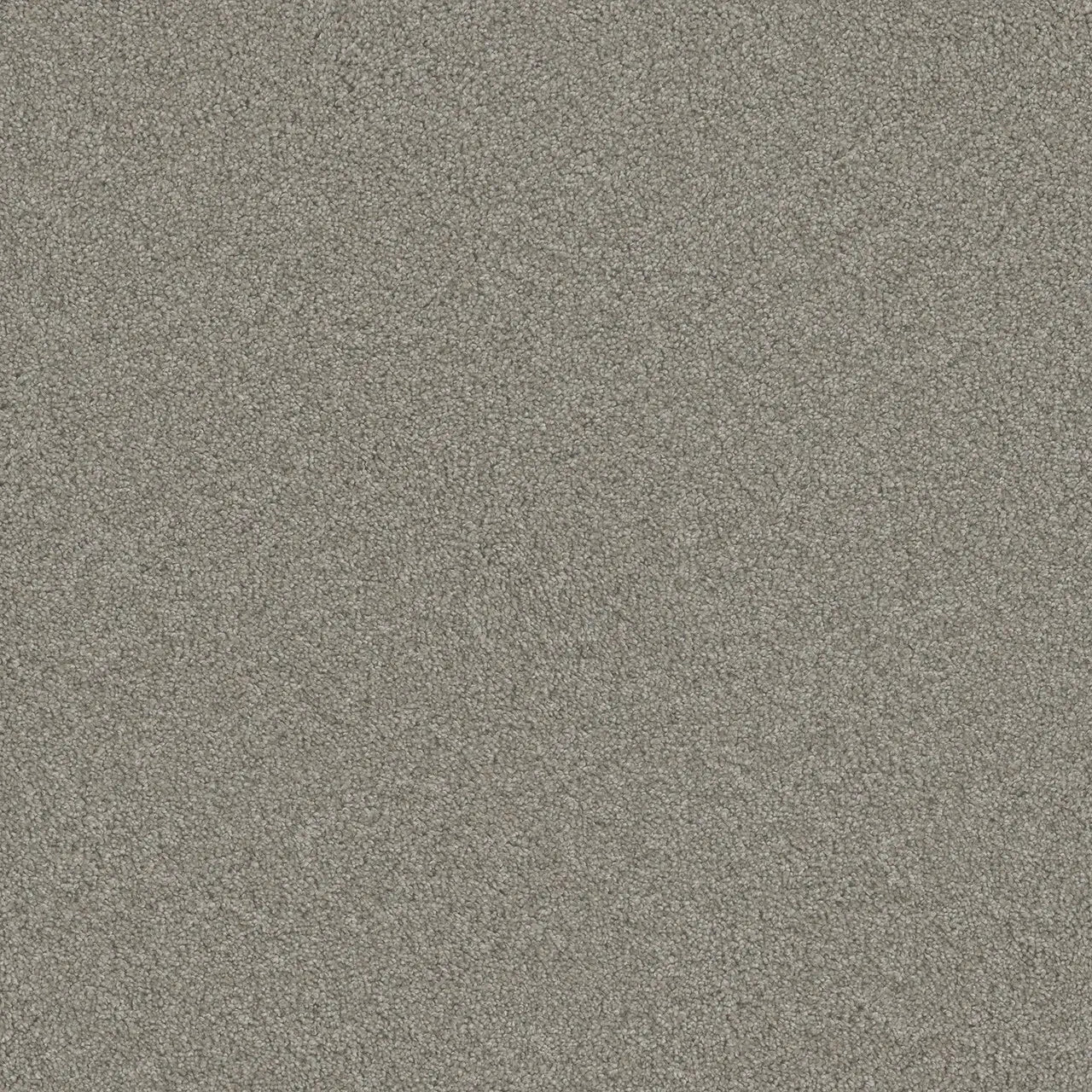 blazer carpet sample by dreamweavdr in the color antique fresco