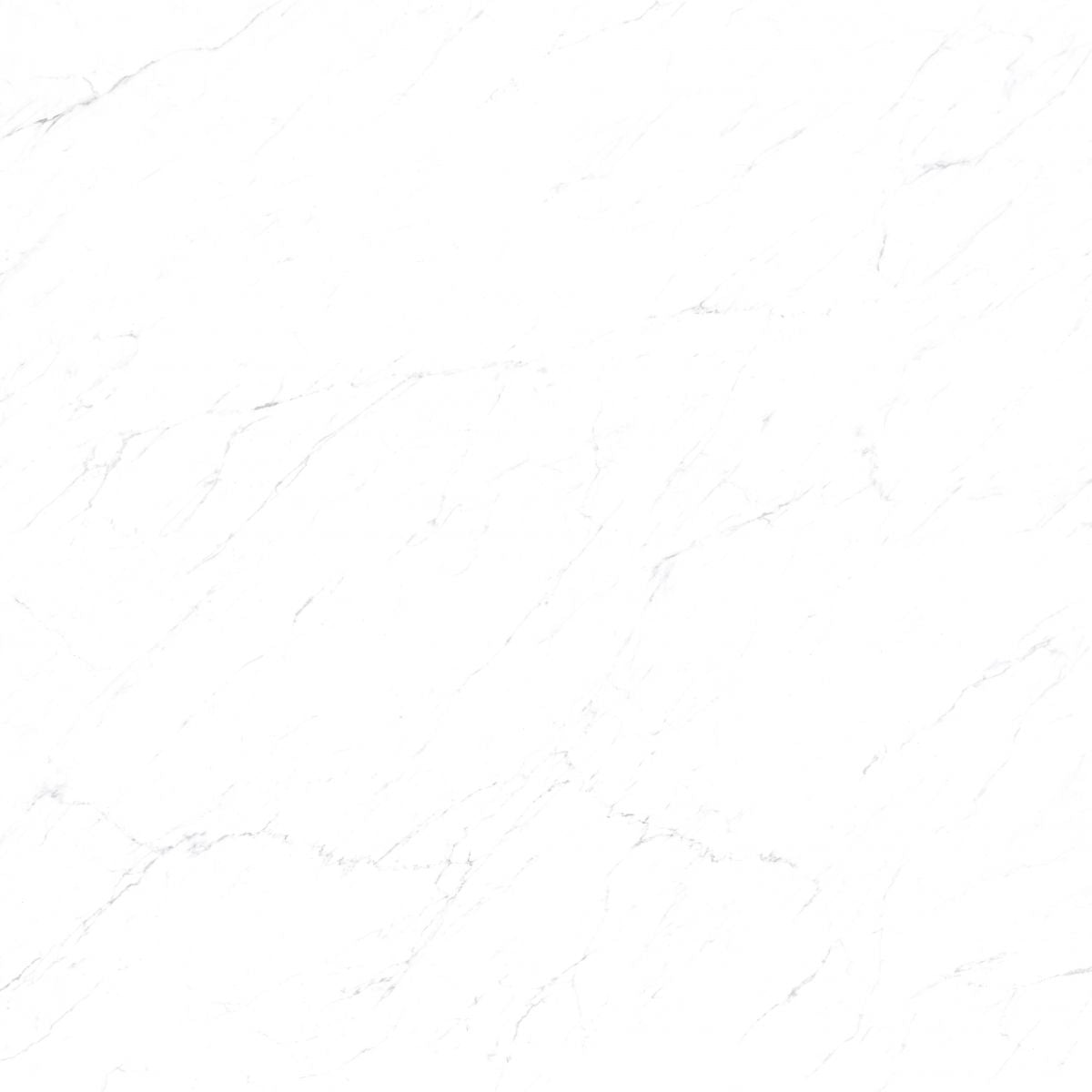 Bianco archimarble 12x24 tile