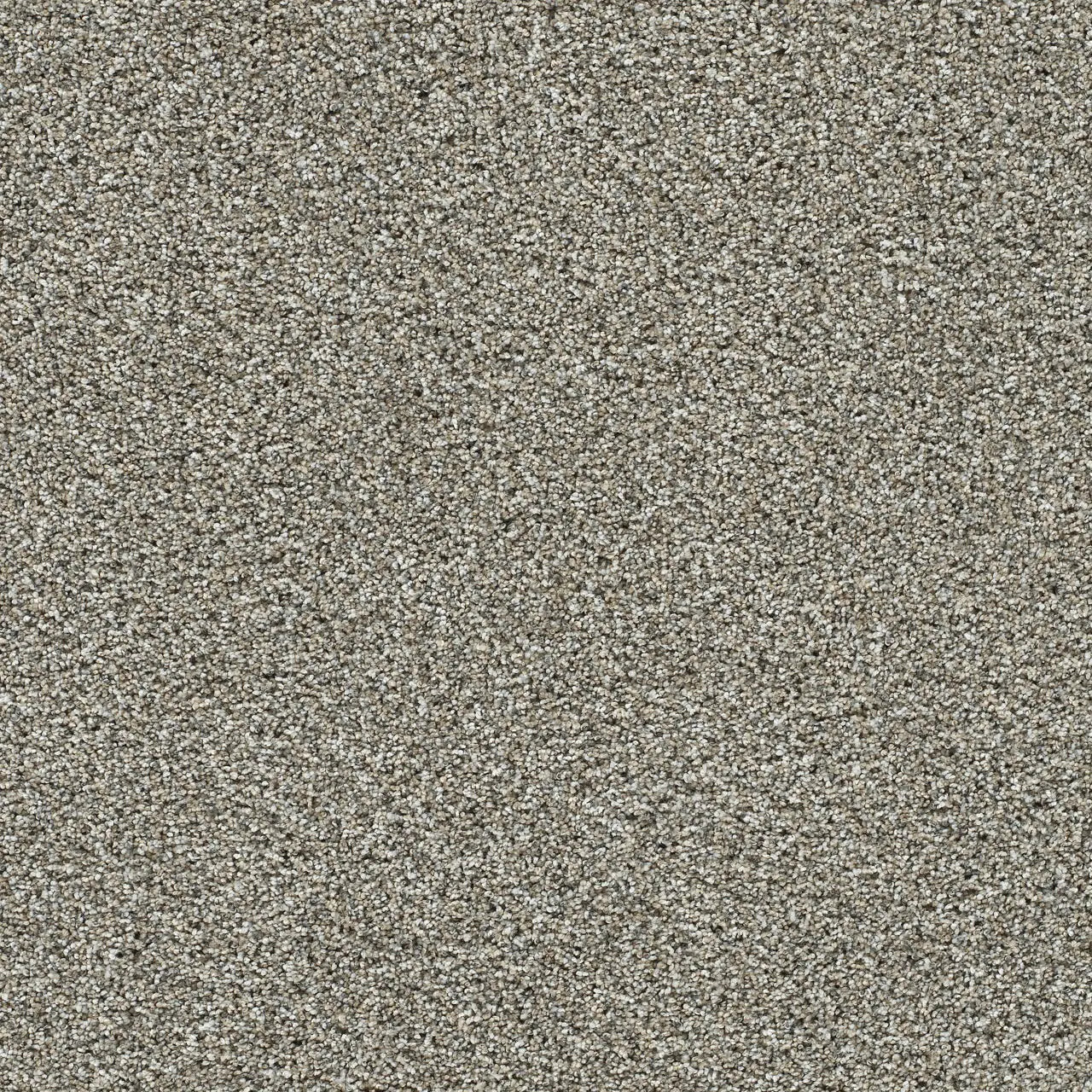autumn glow carpet sample by dreamweaver in the color caramel swirl