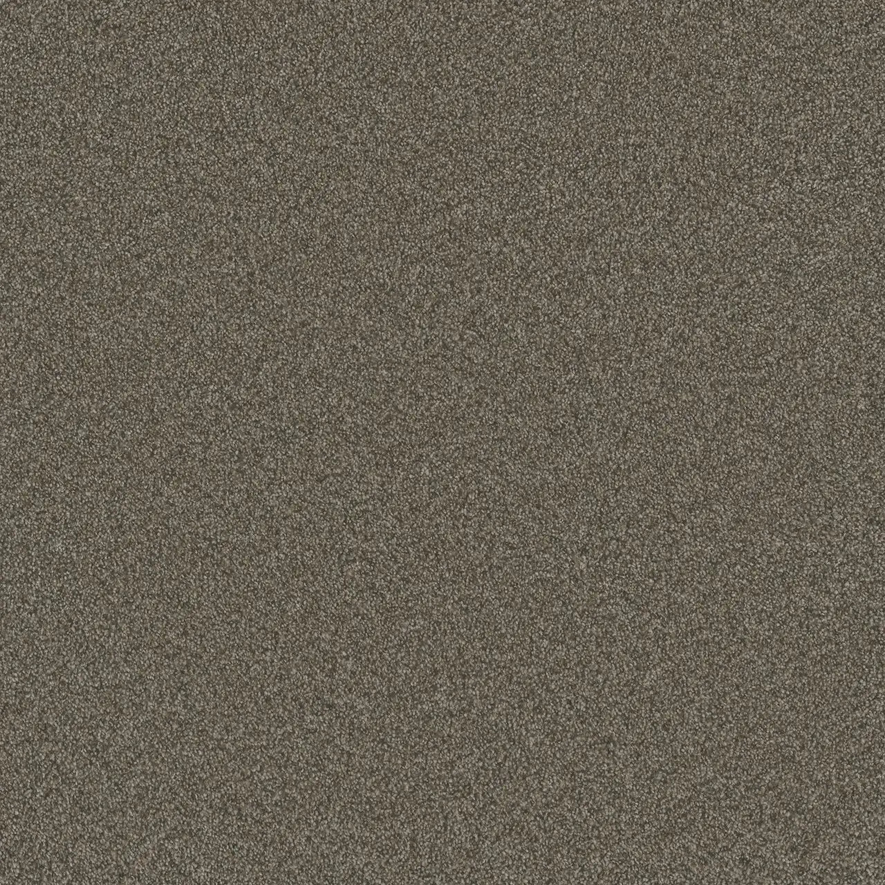 blazer carpet sample by dreamweaver in the color casa marina