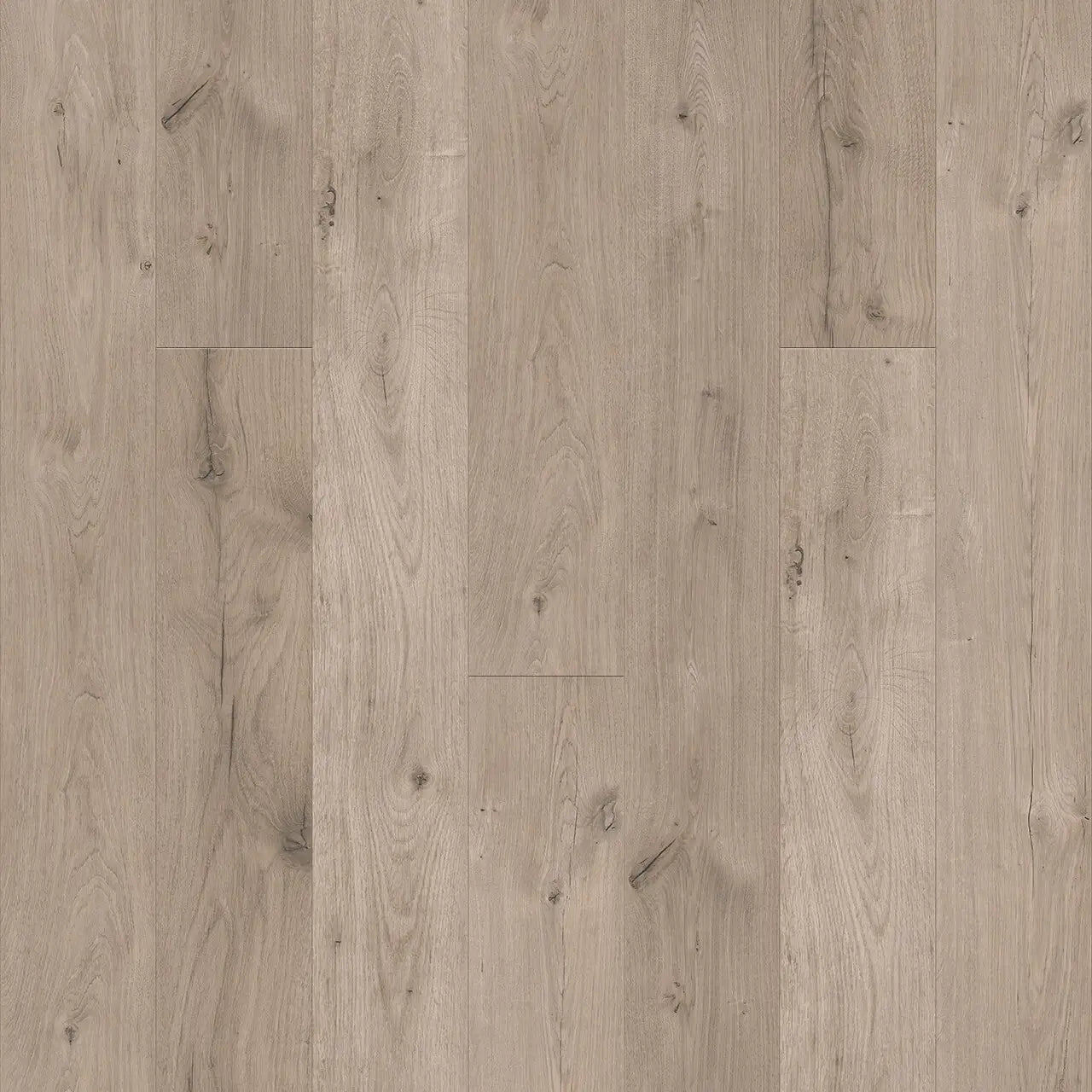 This is an up-close image of the laminate floor woodlux in the color charles bride
