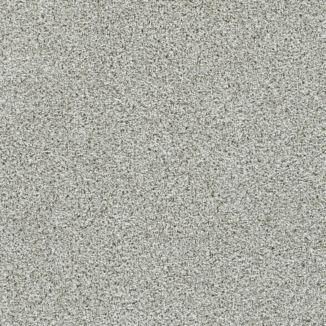autumn glow carpet sample by dreamweaver in the color cloudland