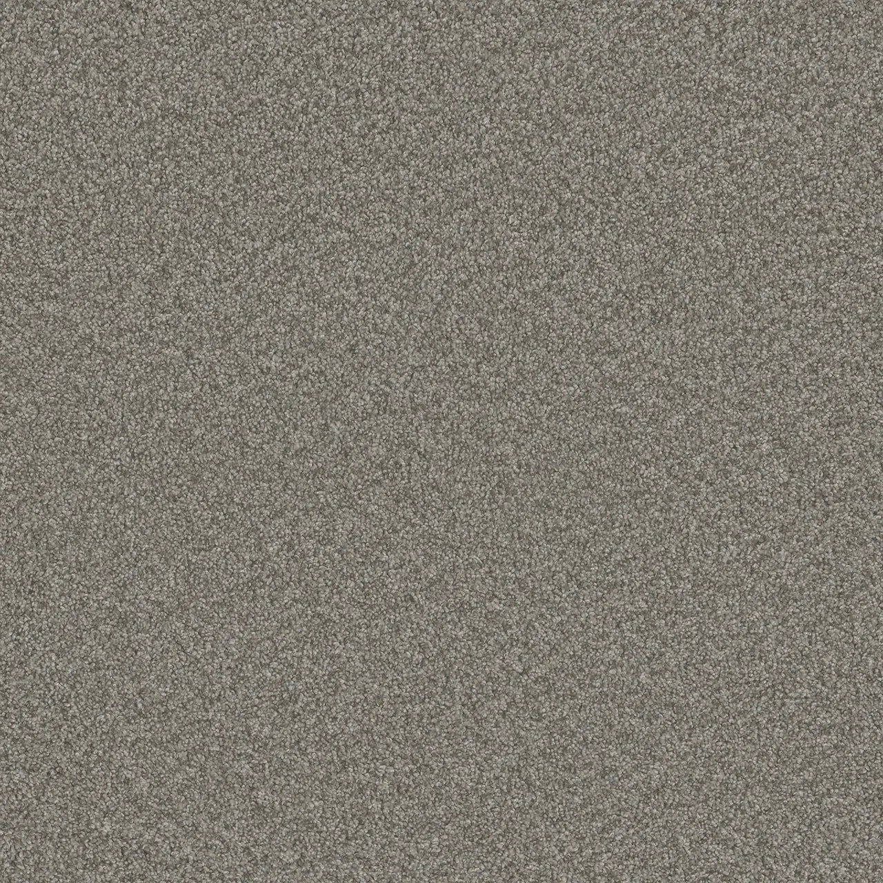 blazer carpet sample by dreamweaver in the color dogwood