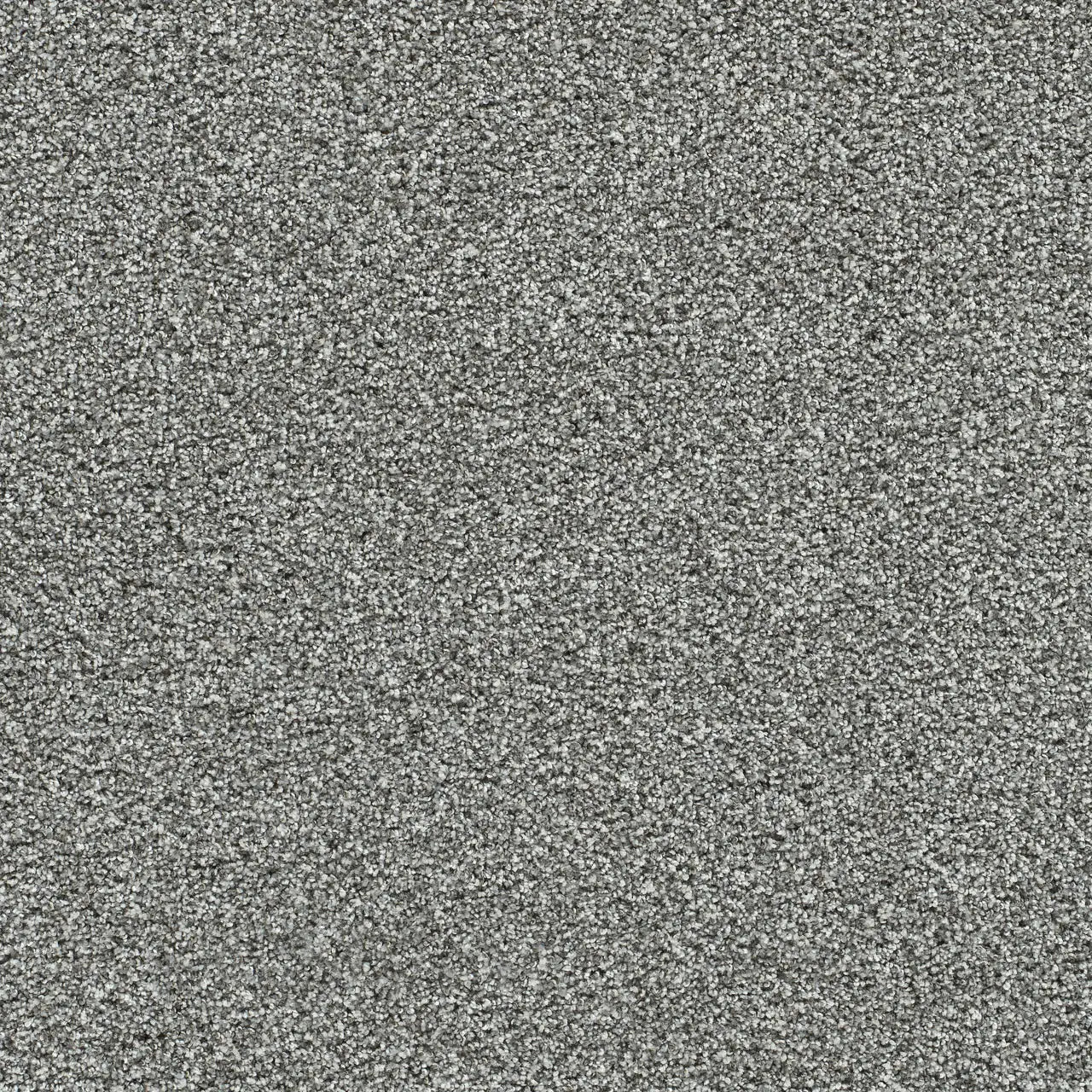autumn glow carpet sample by dreamweaver in the color ebony sky