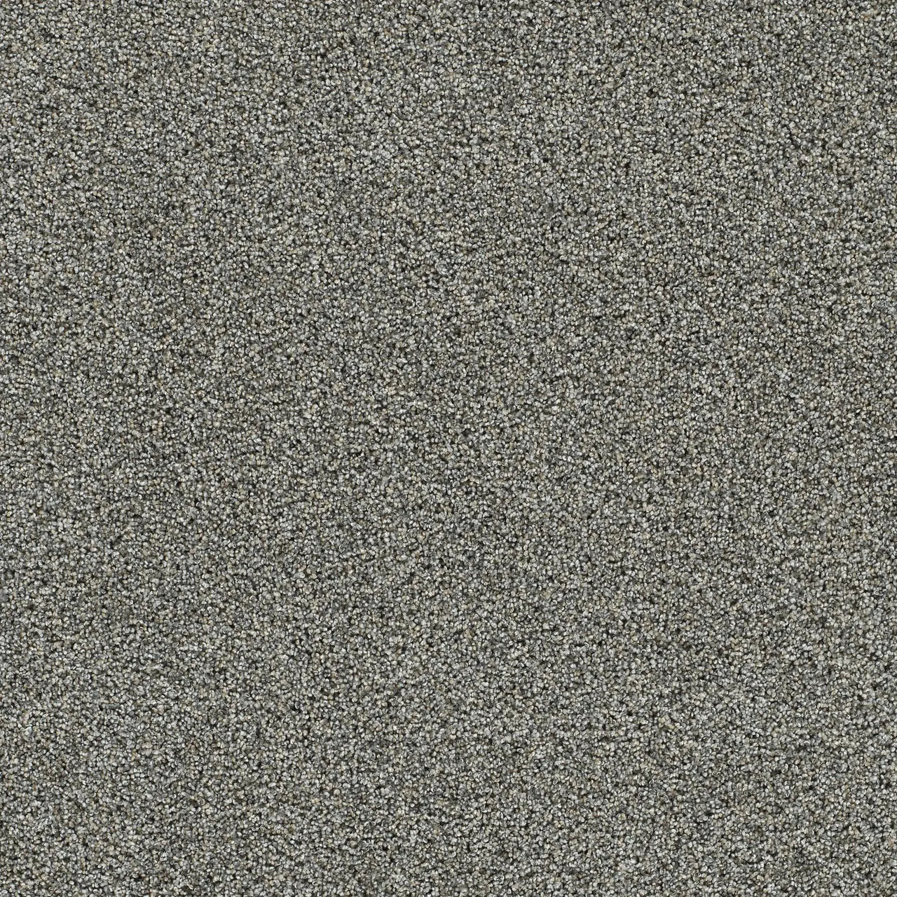 autumn glow carpet sample by dreamweaver in the color elmridge