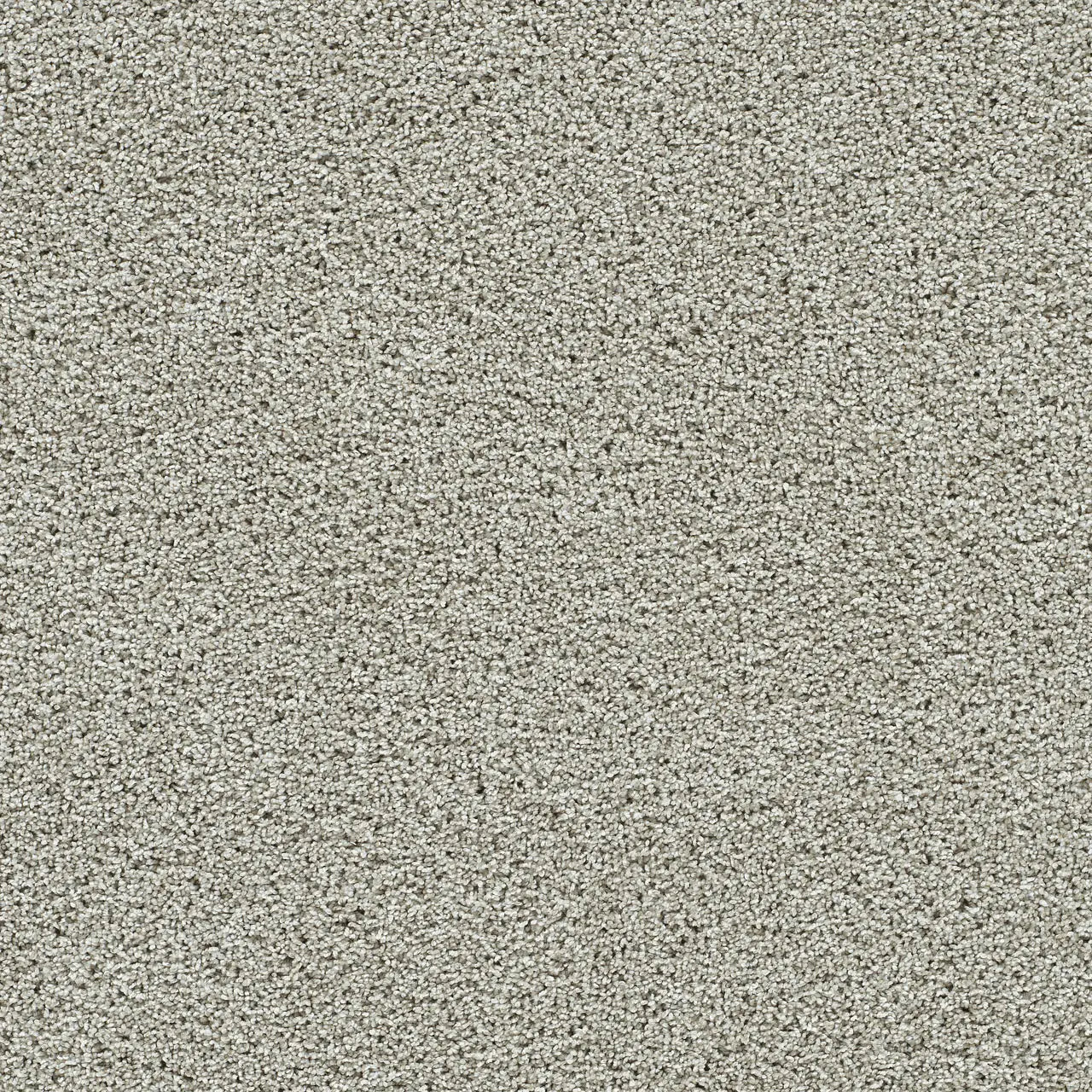 autumn glow carpet sample by dreamweaver in the color fairview