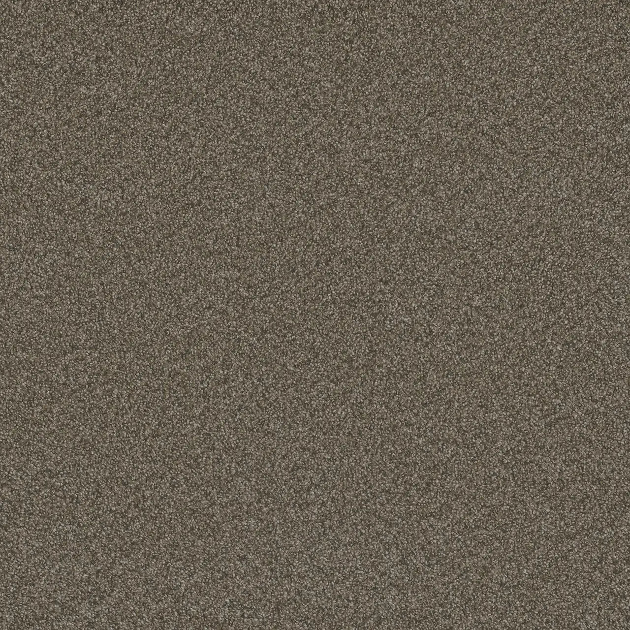 blazer carpet sample by dreamweaver in the color fawn