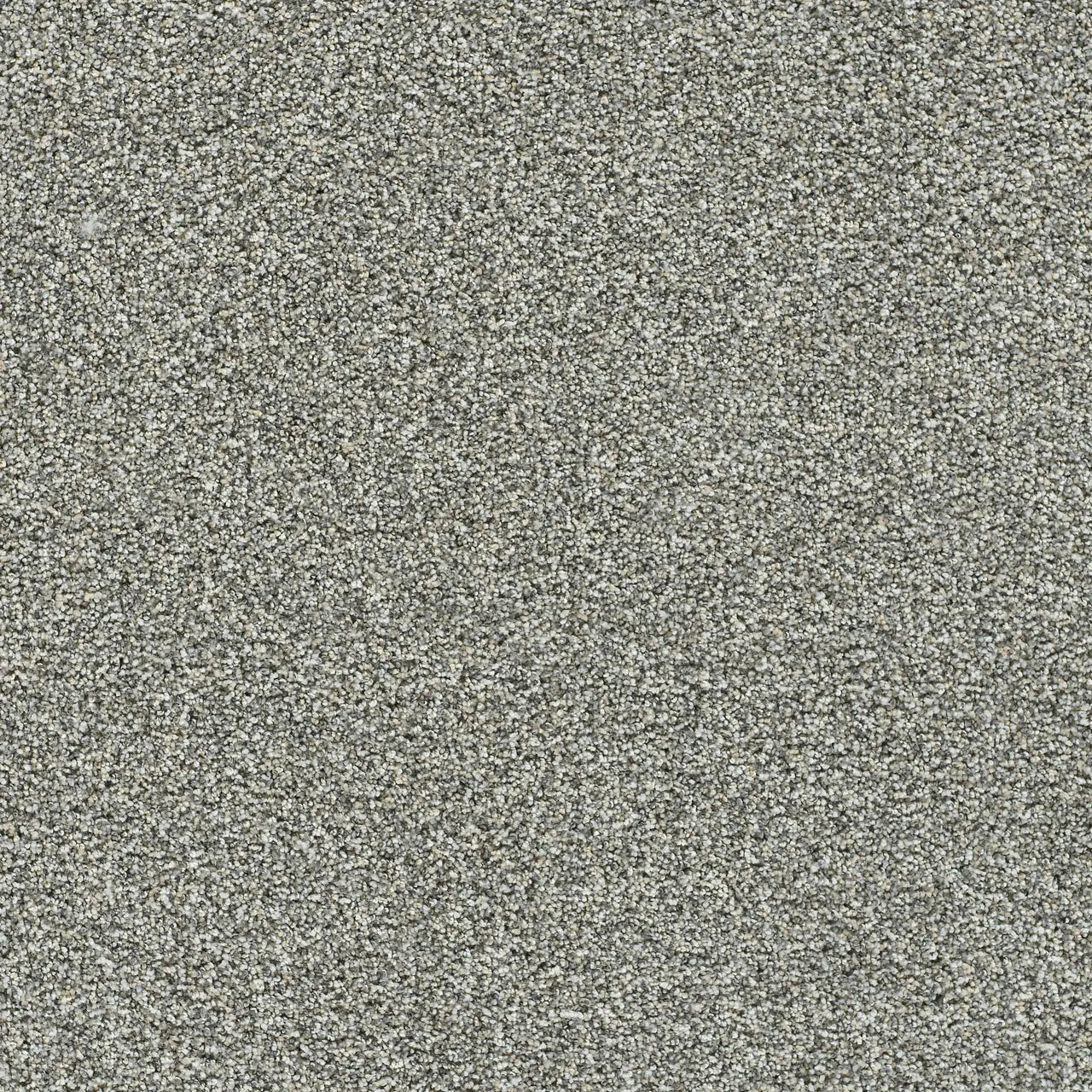 autumn glow carpet sample by dreamweaver in the color grand night
