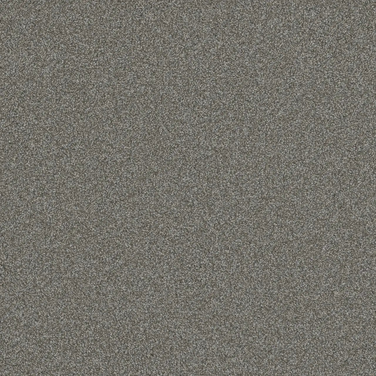blazer carpet sample by dreamweaver in the color jadestone