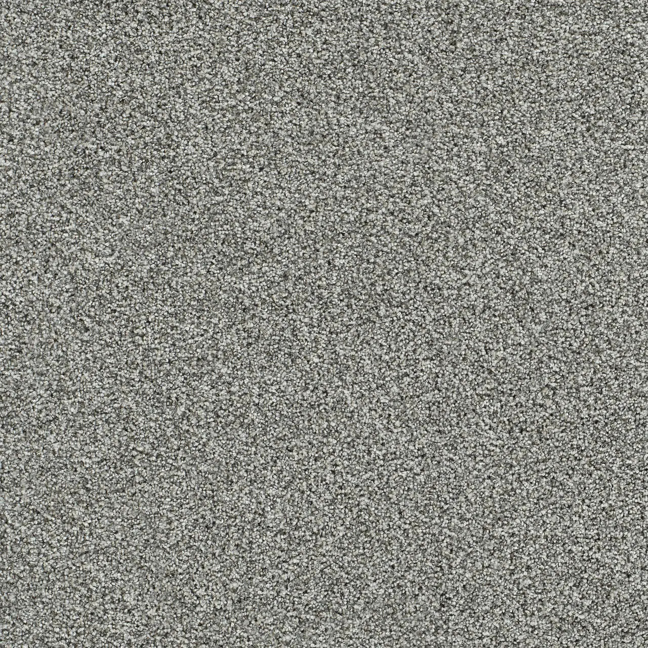 autumn glow carpet sample by dreamweaver in the color luminous
