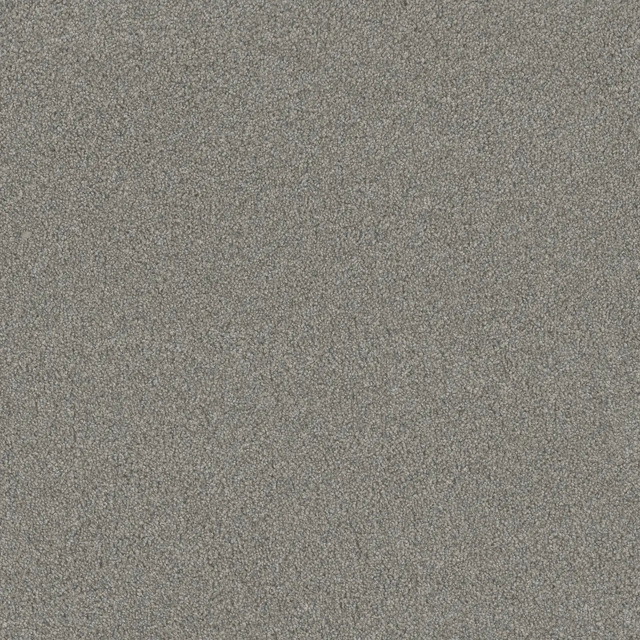 blazer carpet sample by dreamweaver in the color marble glaze