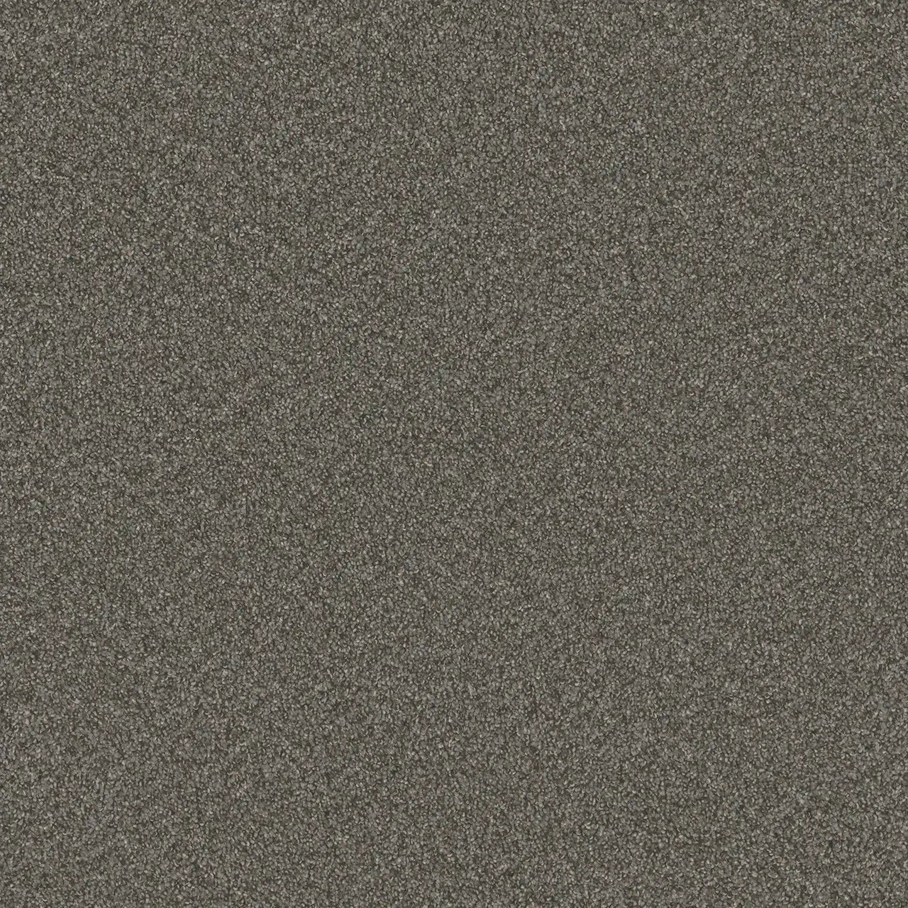 blazer carpet sample by dreamweaver in the color meadow dance