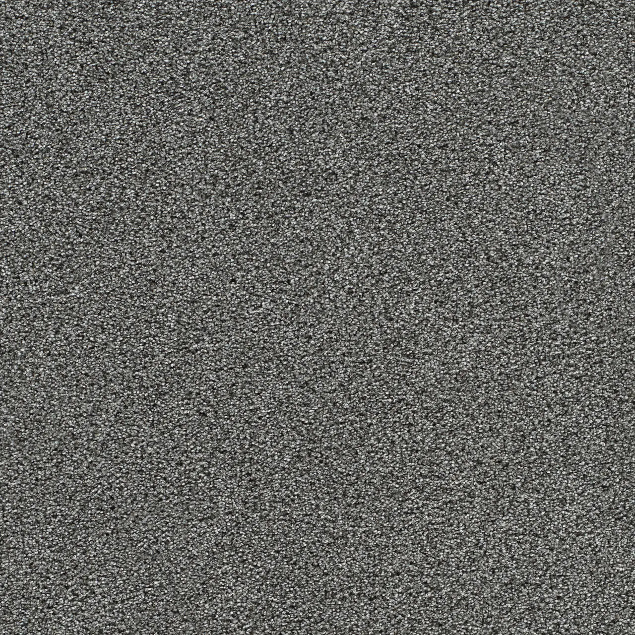 gold standard mica carpet sample by dreamweaver carpet
