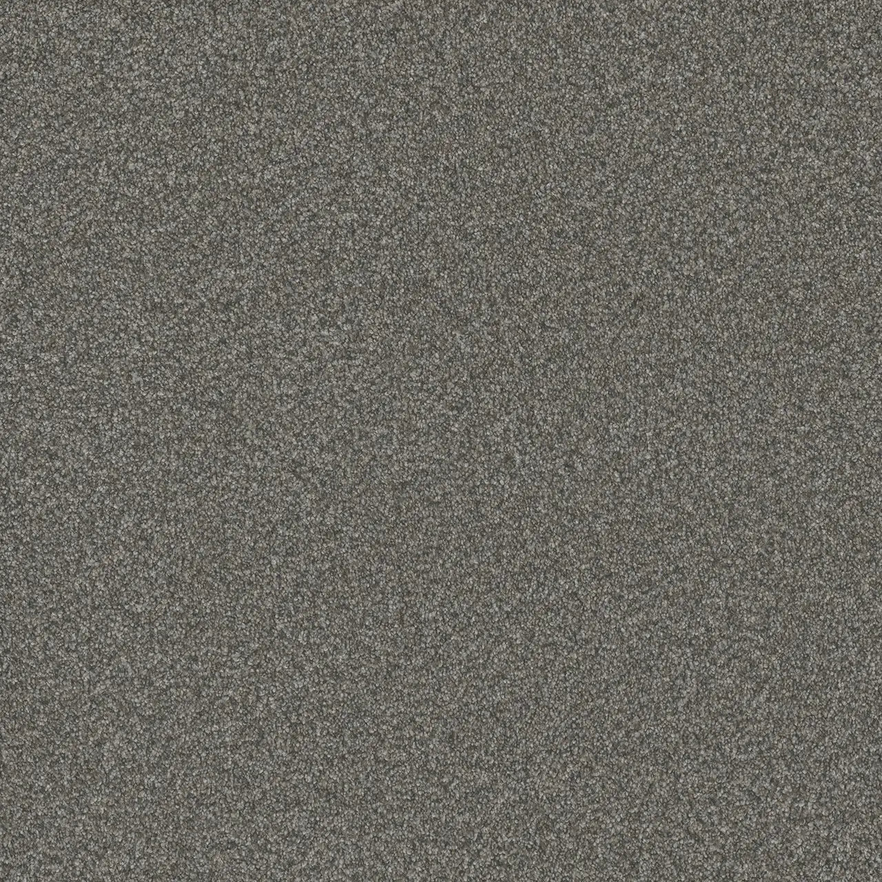blazer carpet sample by dreamweaver in the color millstone