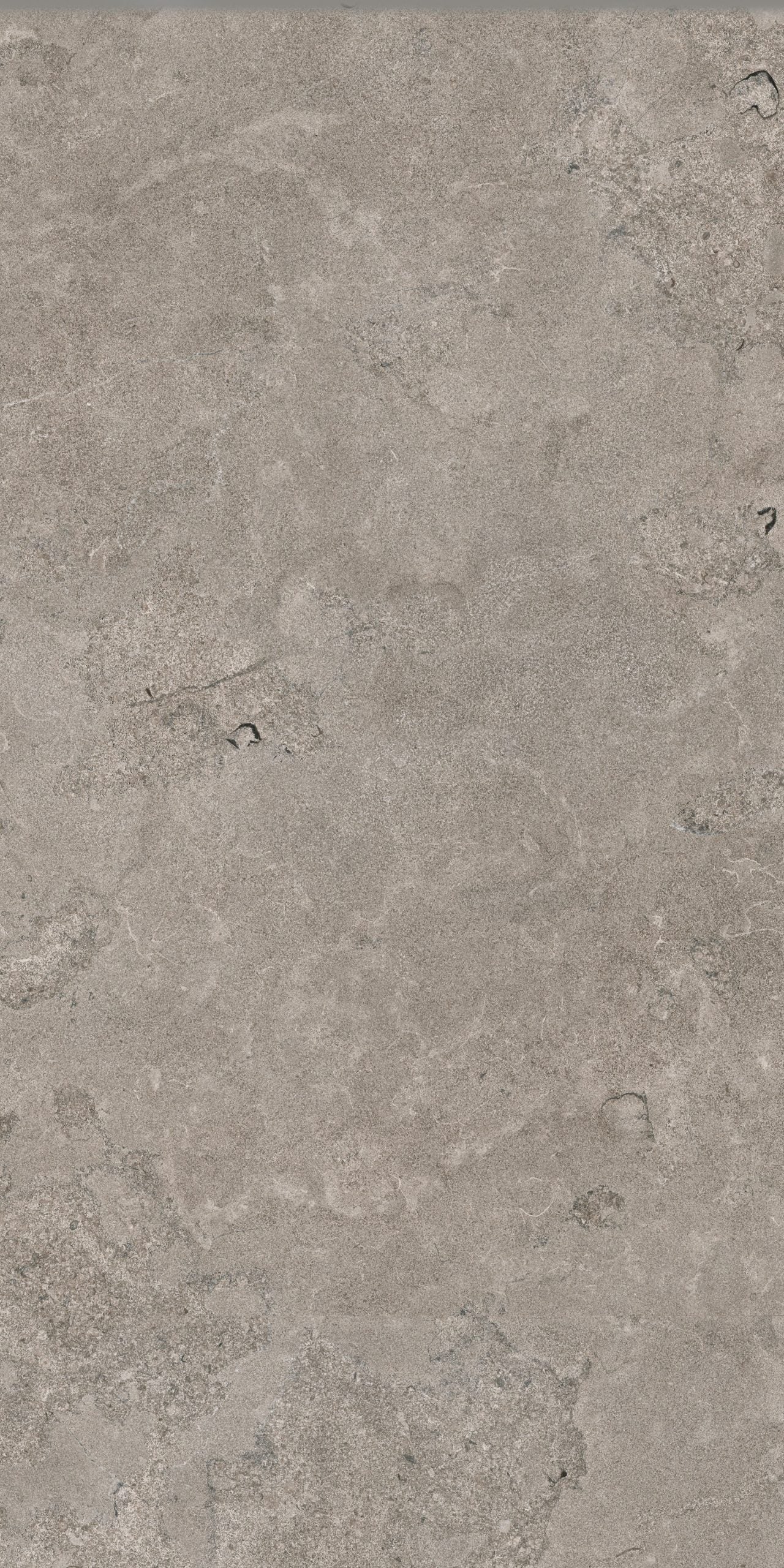 This is an up-close image of the tile Norian in the color fendi