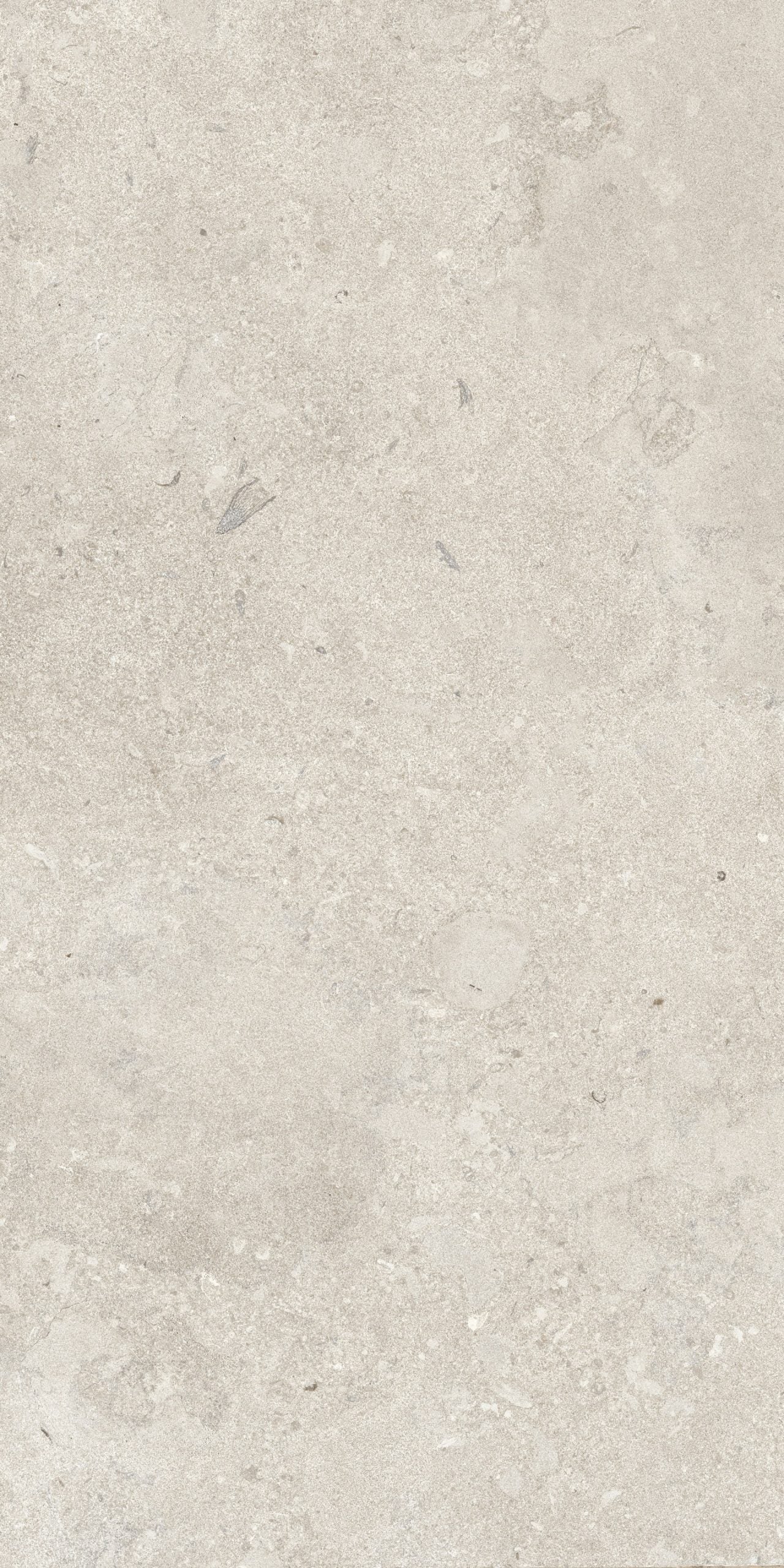 This is an up-close image of the tile Norian in the color ivory