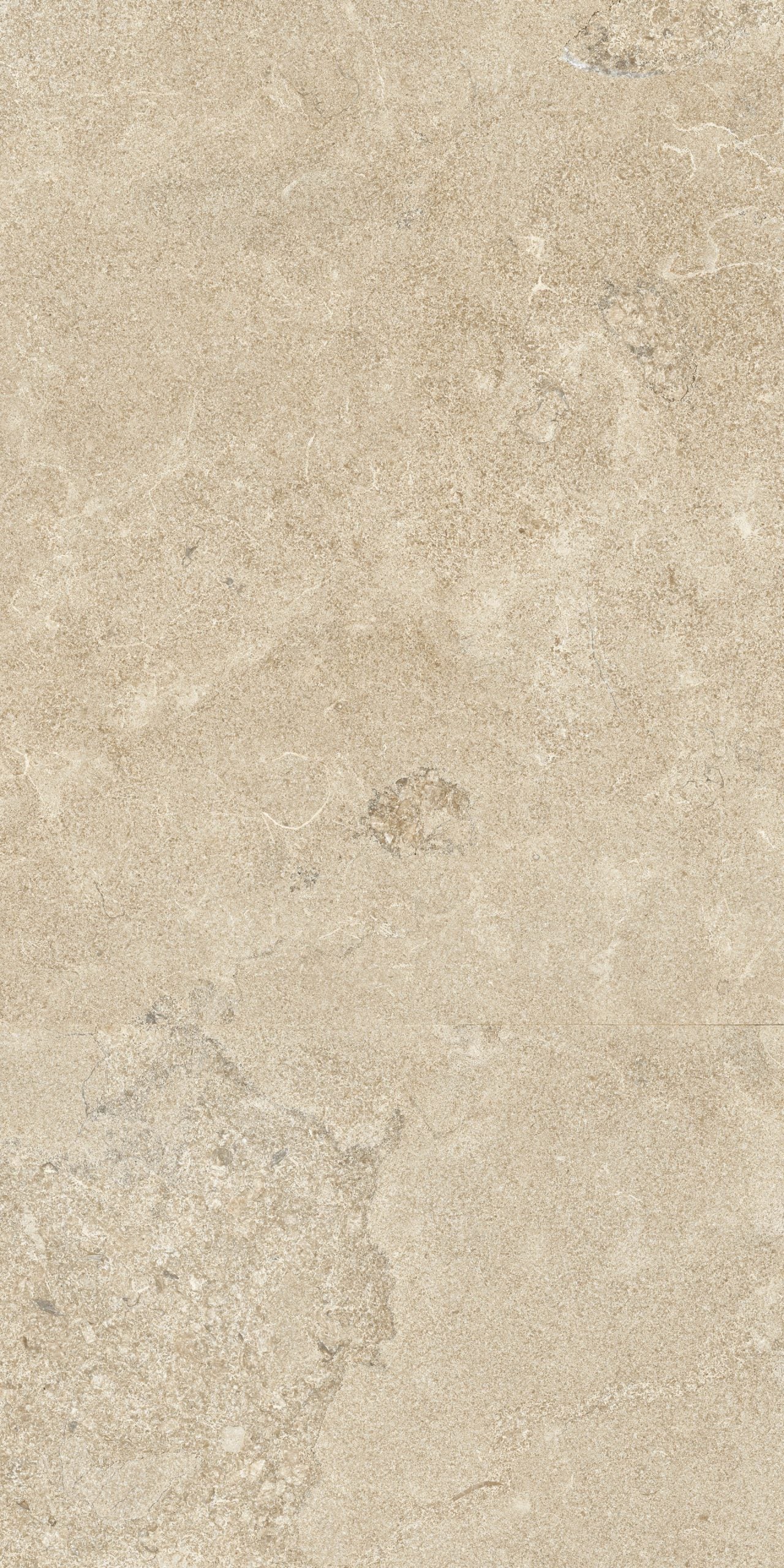 This is an up-close image of the tile Norian in the color sand