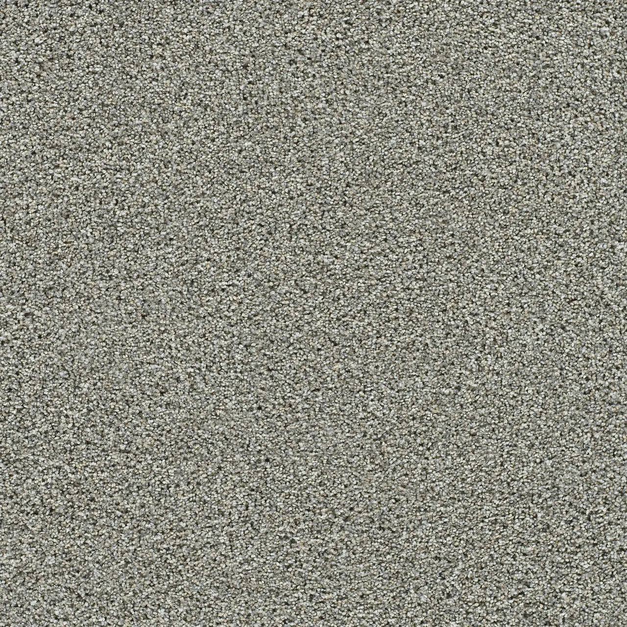 autumn glow carpet sample by dreamweaver in the color october mist