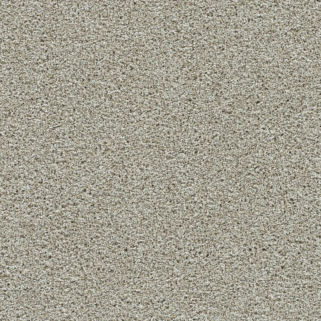 autumn glow carpet sample by dreamweaver in the color orchard