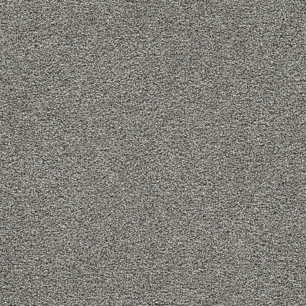 gold standard platinum carpet sample by dreamweaver carpet
