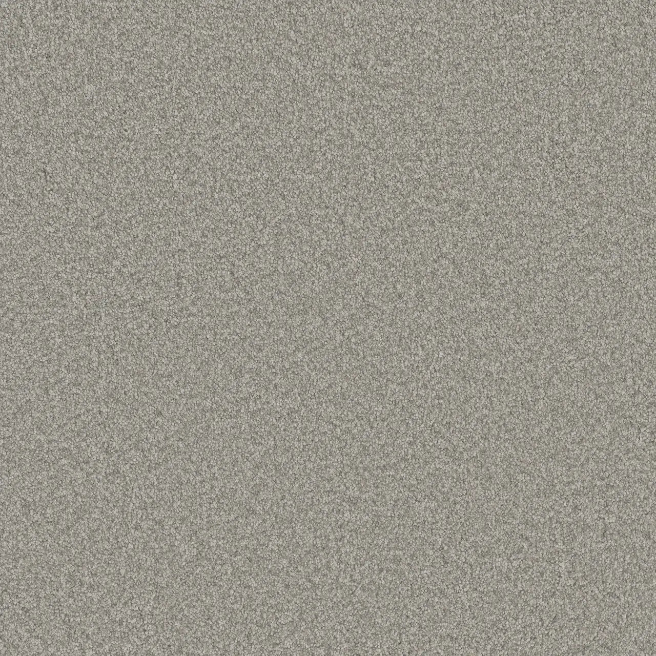 blazer carpet sample by dreamweaver in the color polar cap