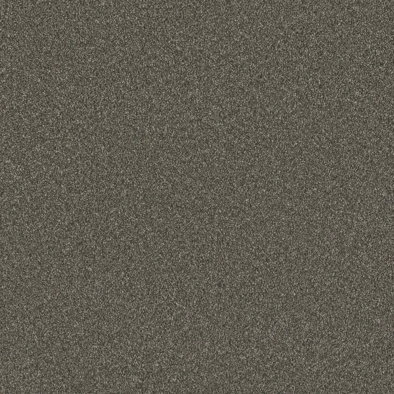 blazer carpet sample by dreamweaver in the color rugby