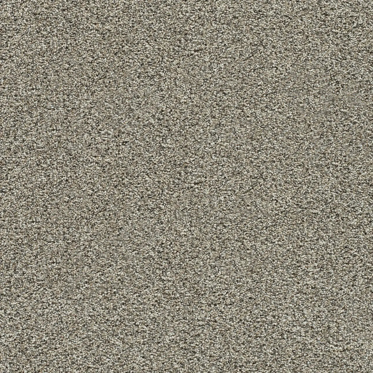 autumn glow carpet sample by dreamweaver in the color salted toffee