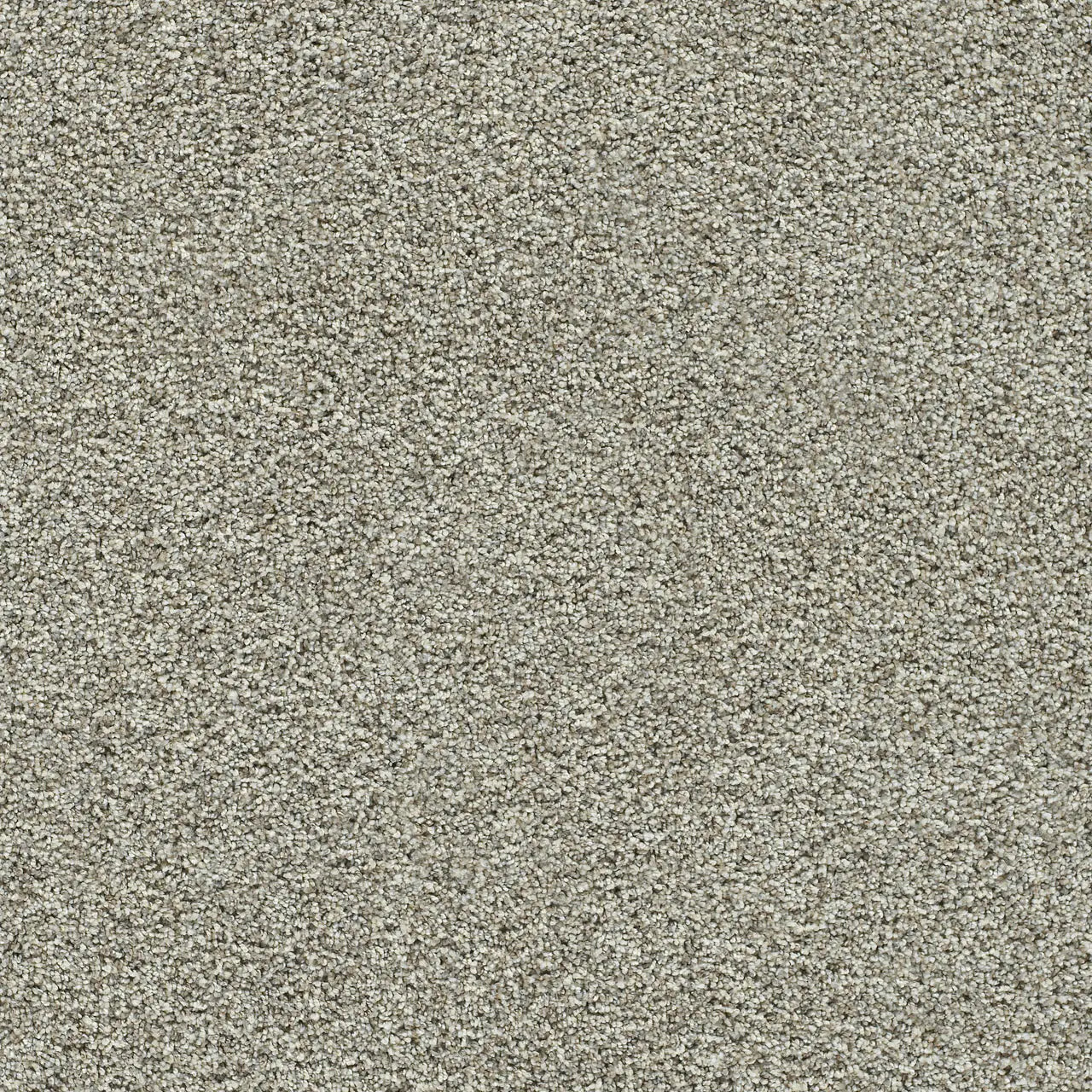 autumn glow carpet sample by dreamweaver in the color sunset