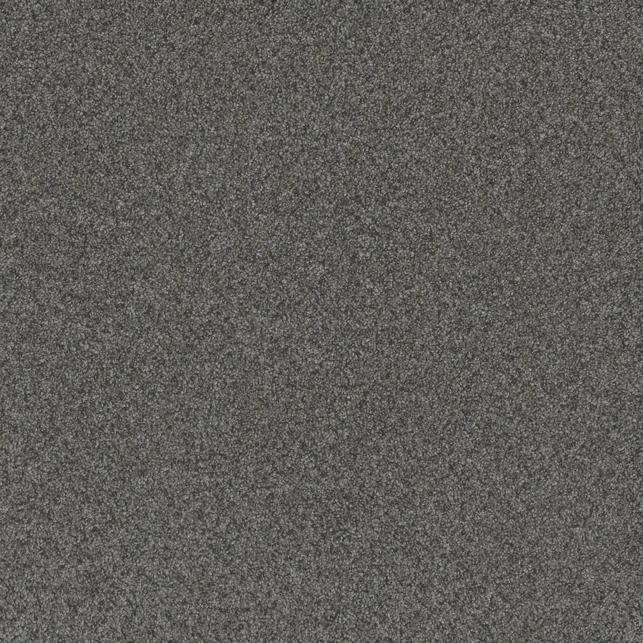blazer carpet sample by dreamweaver in the color tulsa twilight