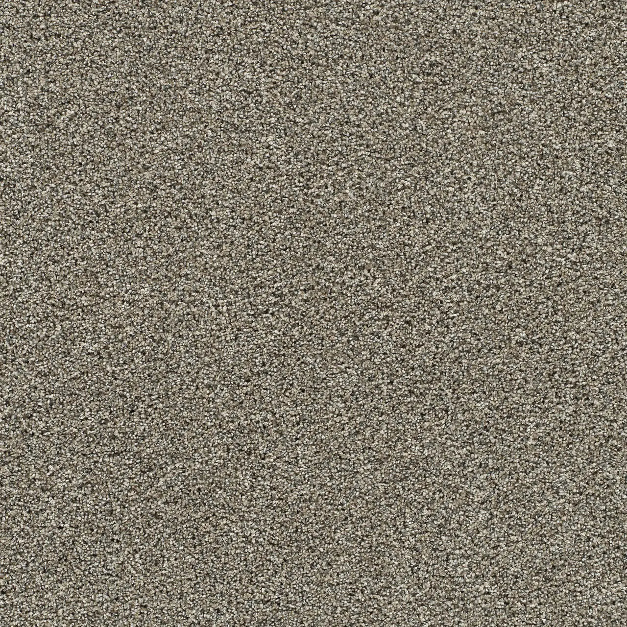 autumn glow carpet sample by dreamweaver in the color warm spice