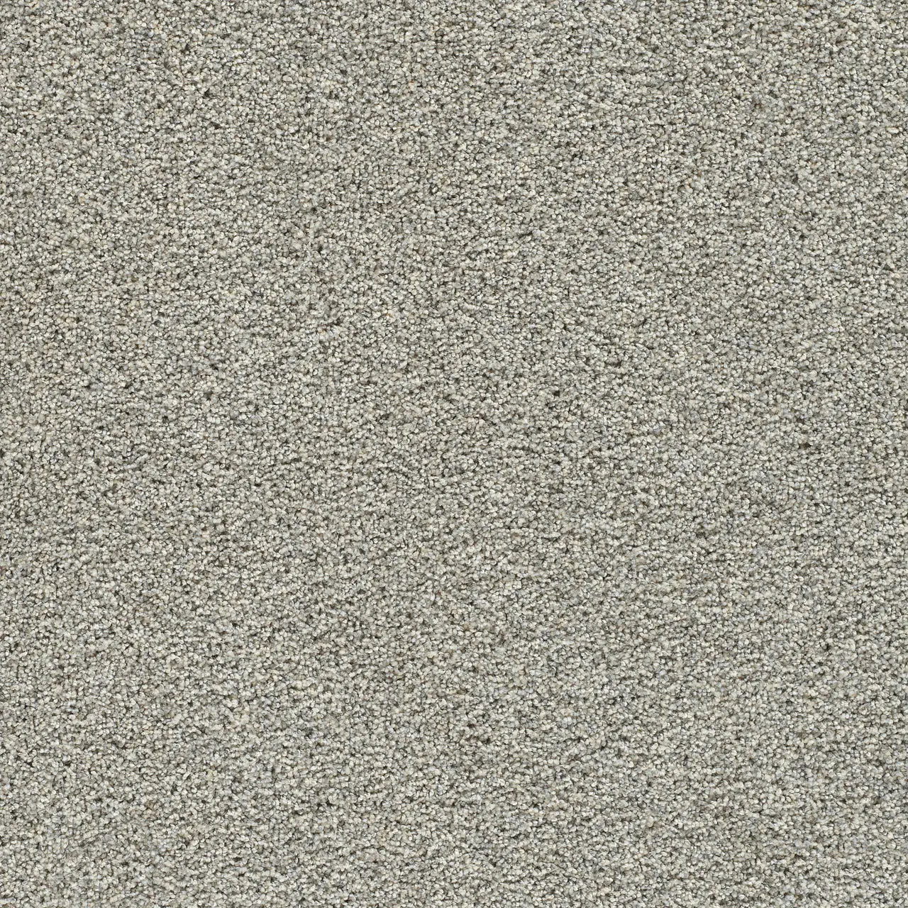 autumn glow carpet sample by dreamweaver in the color whisper
