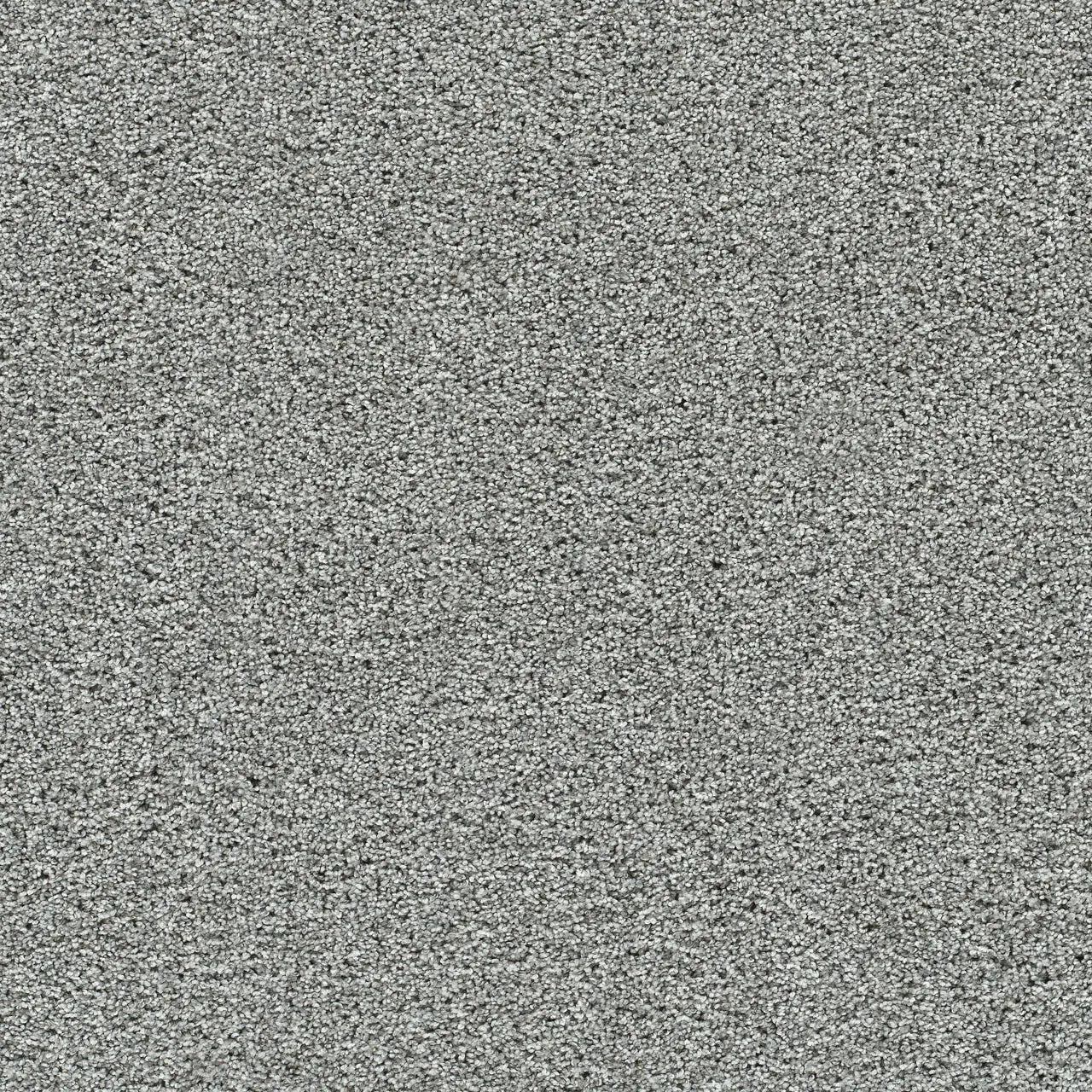 autumn glow carpet sample by dreamweaver in the color winter blues