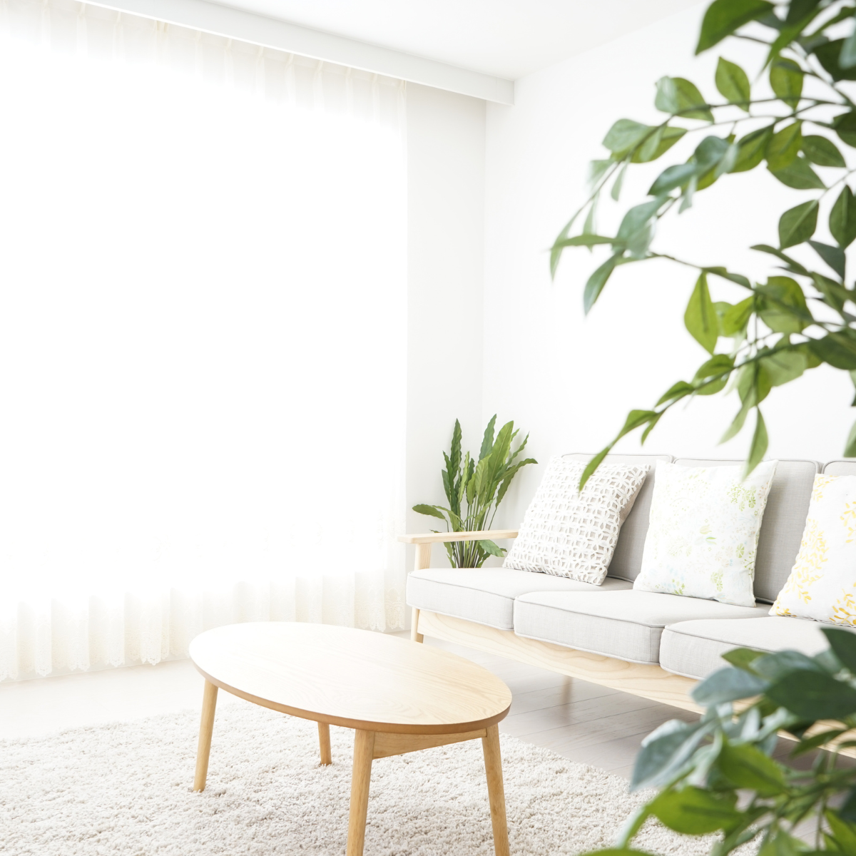 White living room aesthetic with greenery