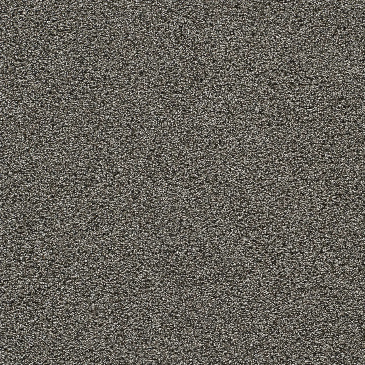 gold standard zinc carpet sample by dreamweaver carpet