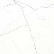 Marmi Anticati 12x24 - Corinia White