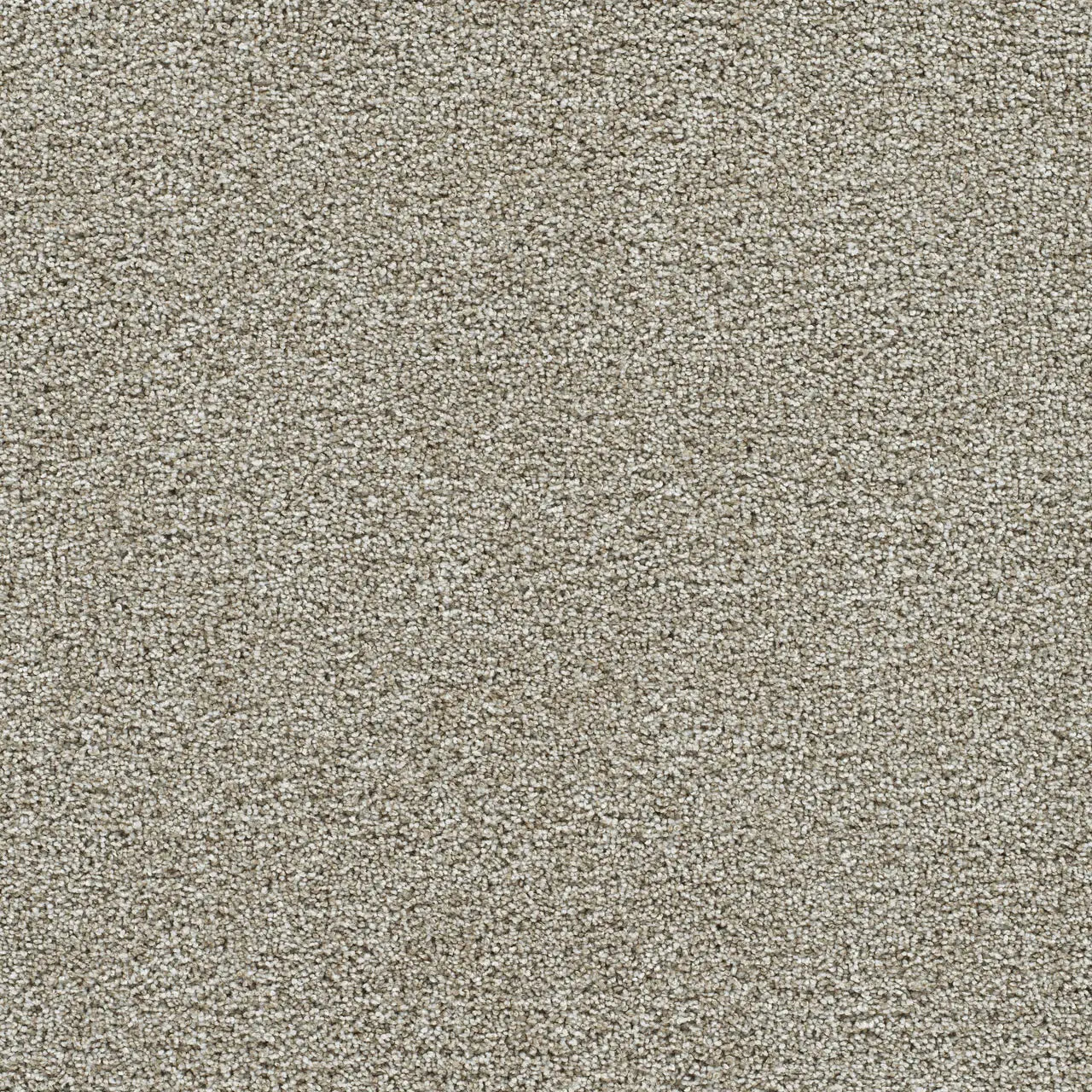 gold standard alloy carpet sample by dreamweaver carpet