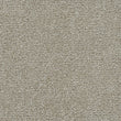 gold standard alloy carpet sample by dreamweaver carpet