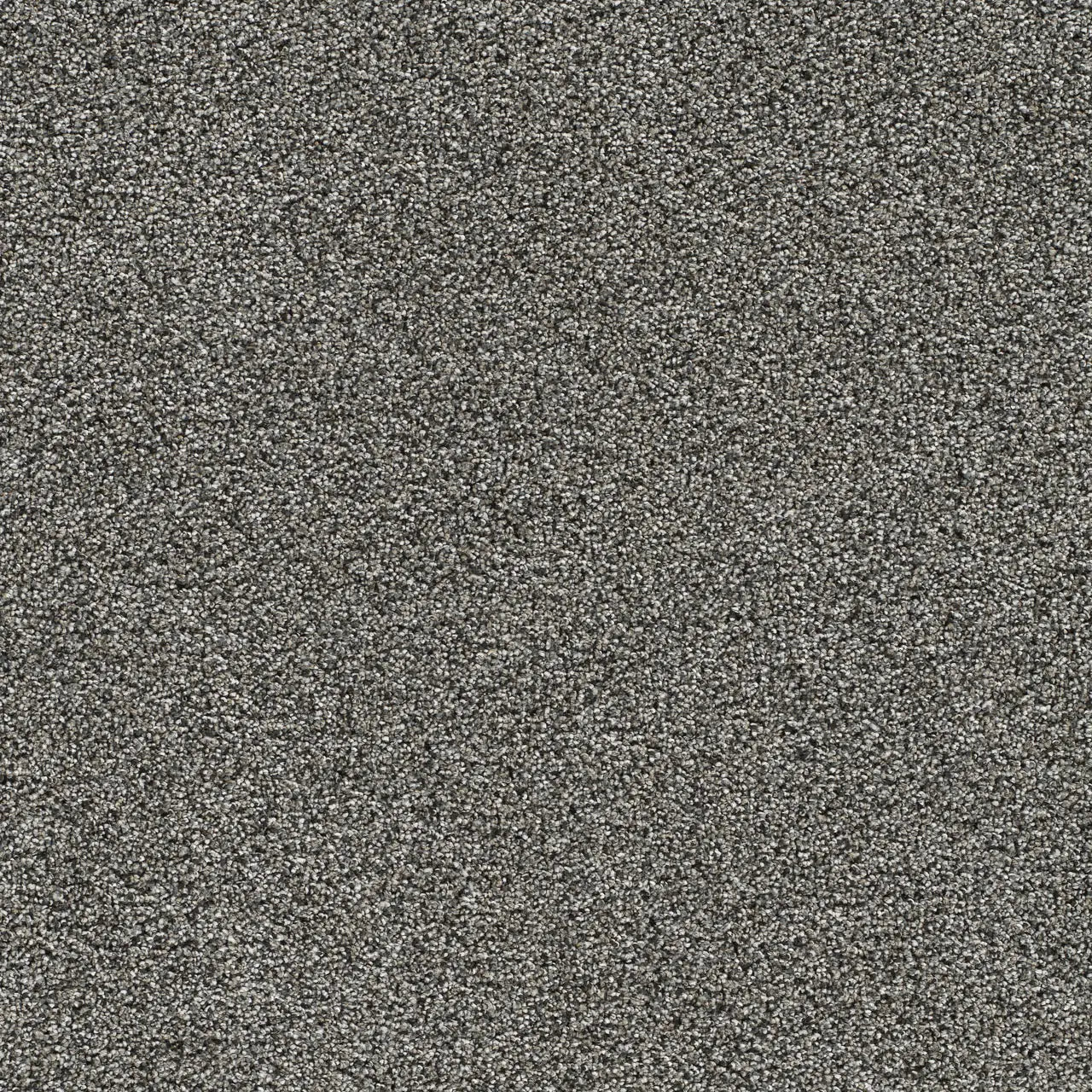 gold standard benchmark carpet sample by dreamweaver carpet