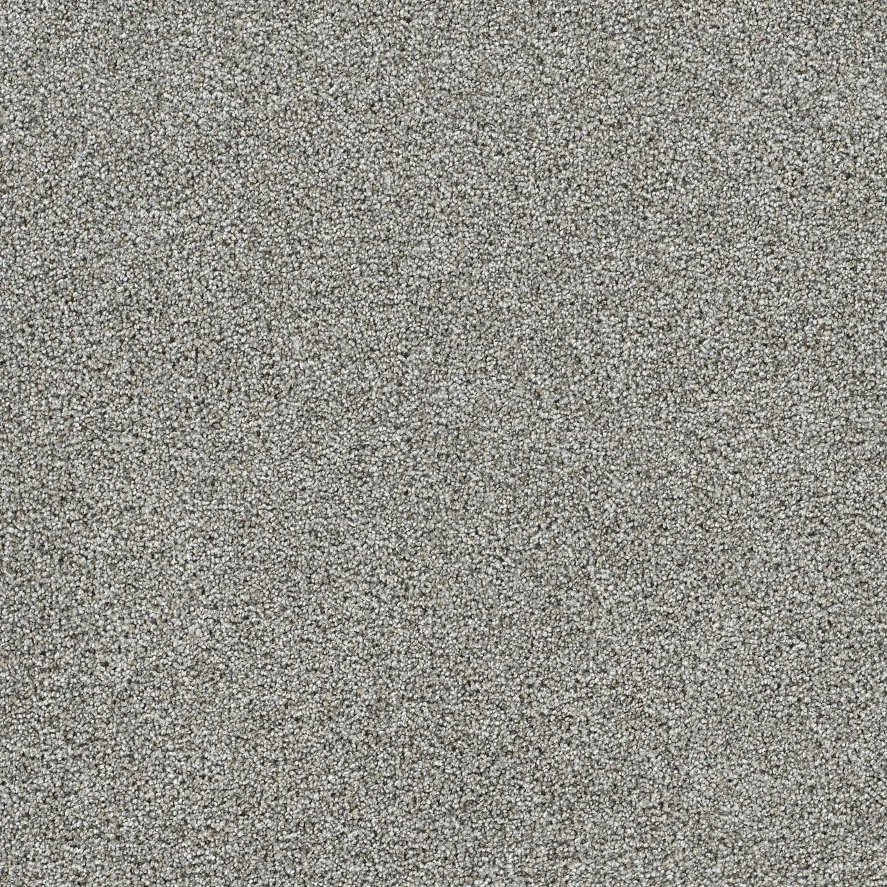 gold standard chrome carpet sample by dreamweaver carpet