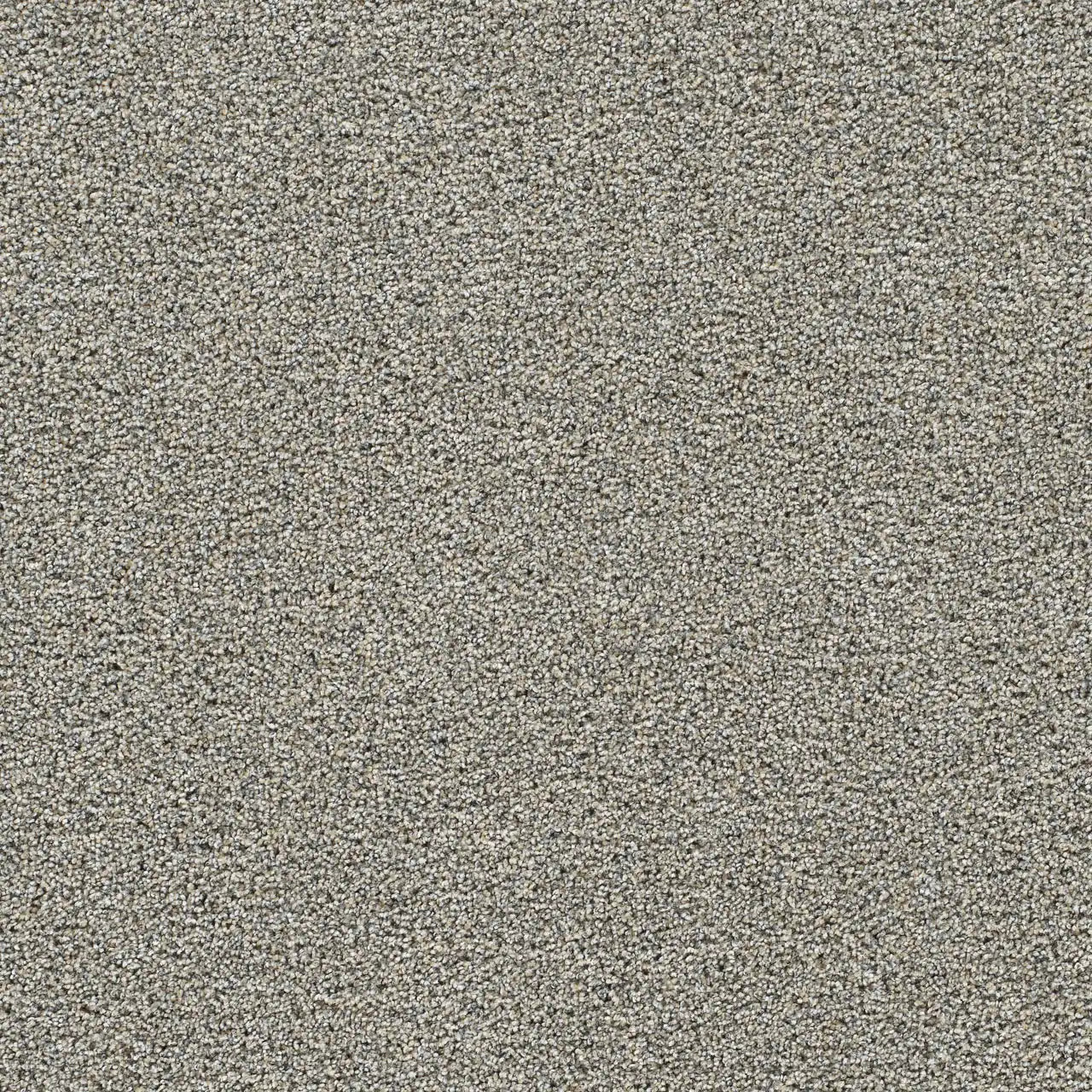 gold standard crystal carpet sample by dreamweaver carpet