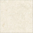 fosil tile in the color bone sample piece