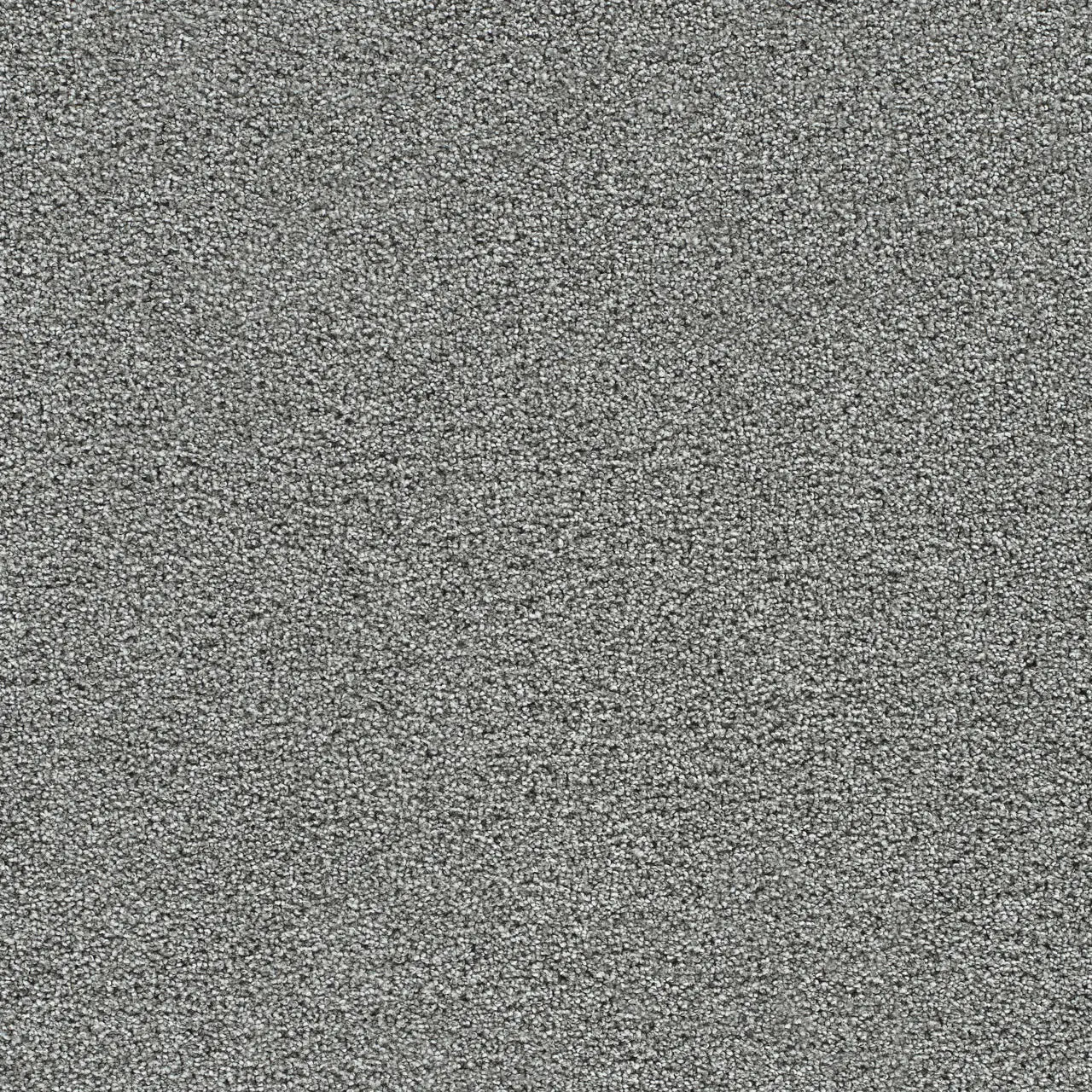 gold standard galvanized carpet sample by dreamweaver carpet