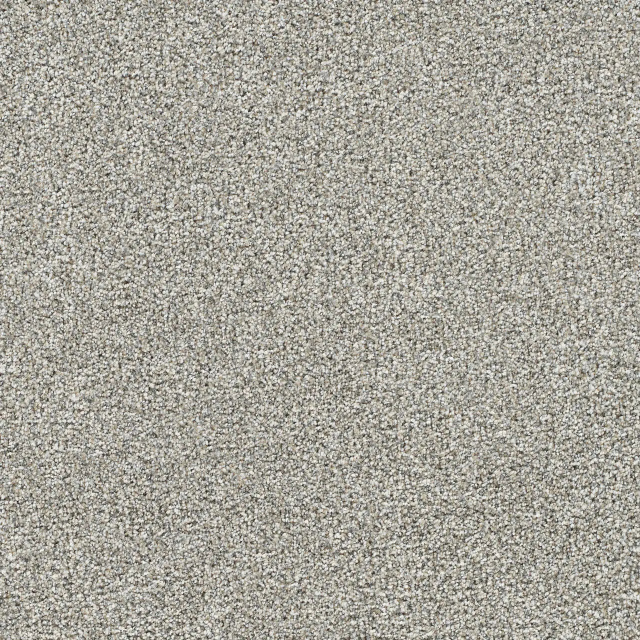 gold standard glitter carpet sample by dreamweaver carpet