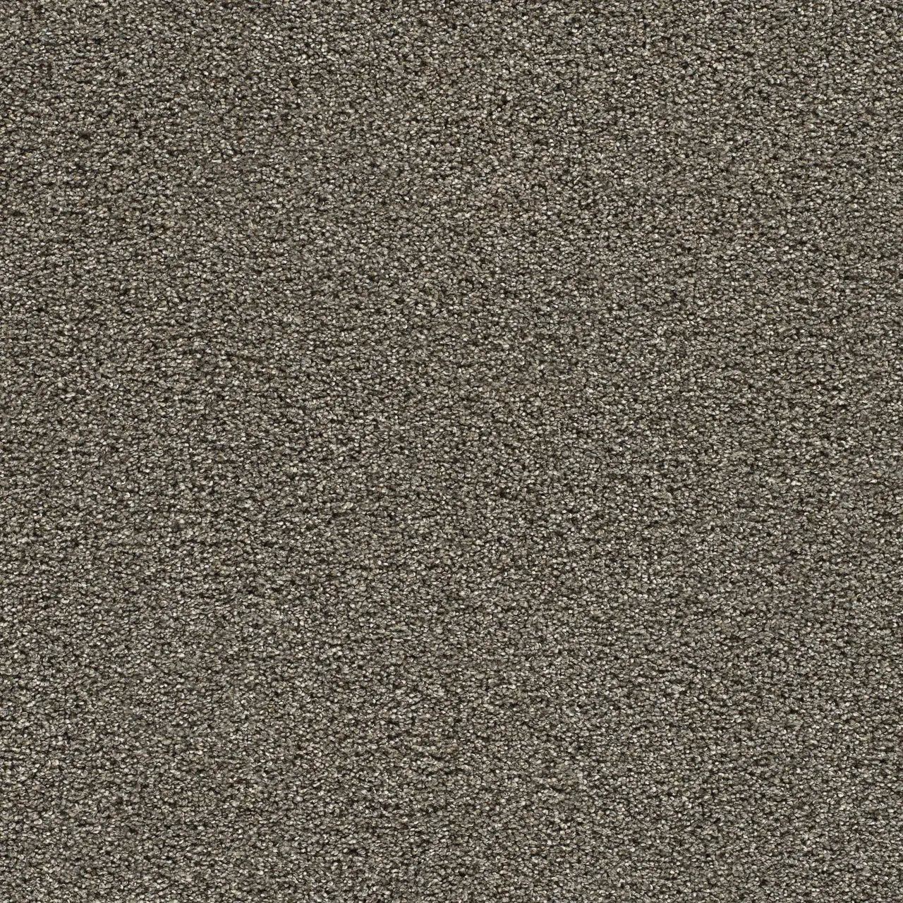 gold standard ignot carpet sample by dreamweaver carpet