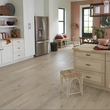 cape neddick in a kitchen setting with white cabinets