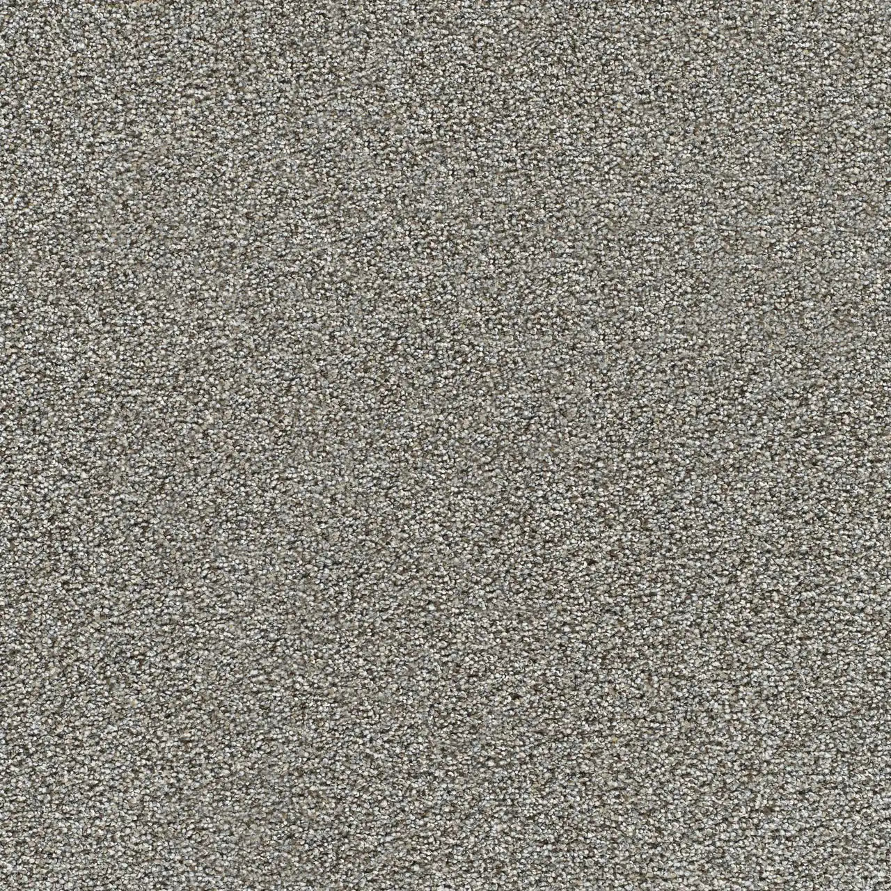 gold standard metallic carpet sample by dreamweaver carpet