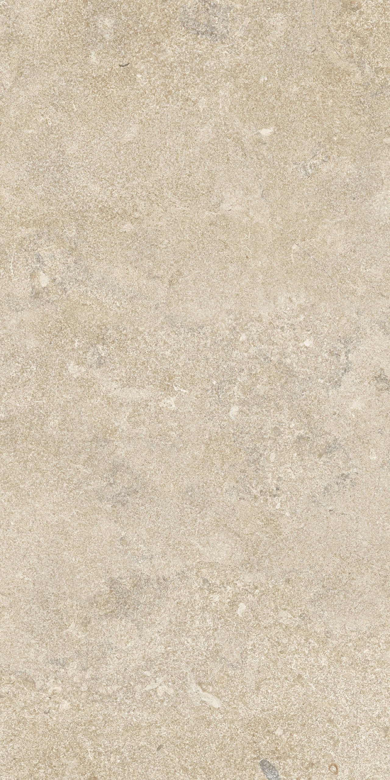 This is an up-close image of the tile Norian in the color sand