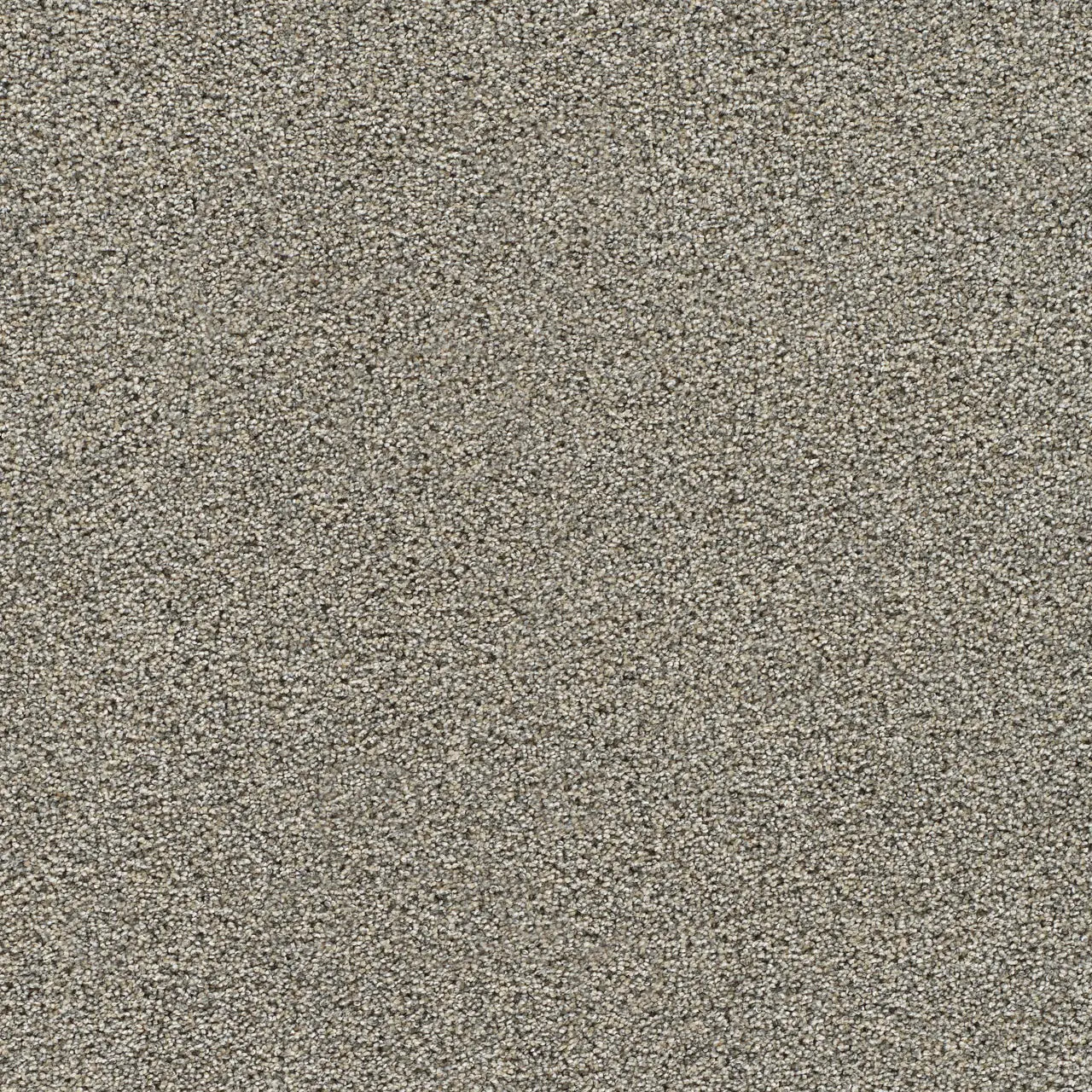 gold standard note carpet sample by dreamweaver carpet